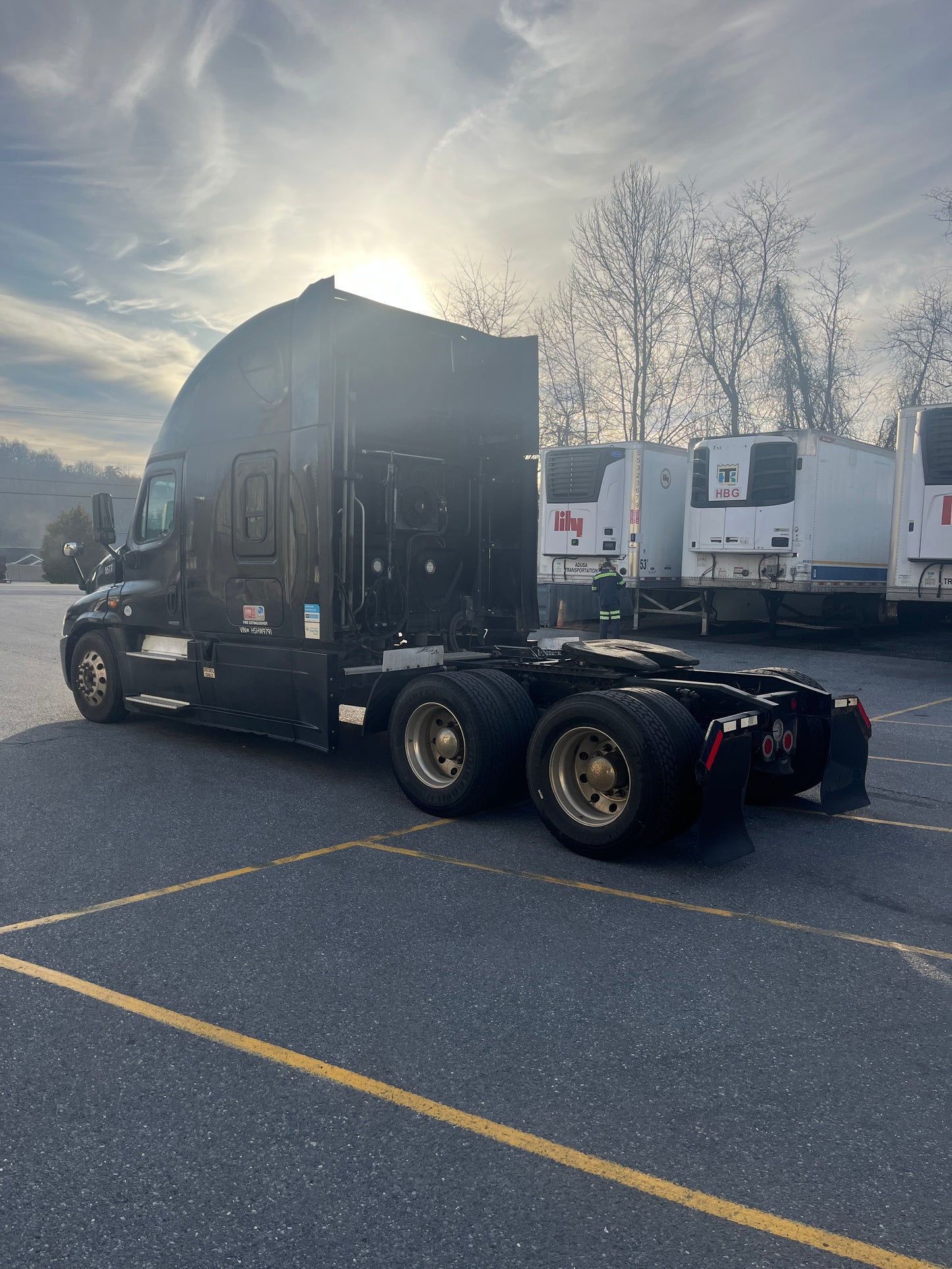 2017 Freightliner Cascadia Semi Sleeper truck 2024M0113