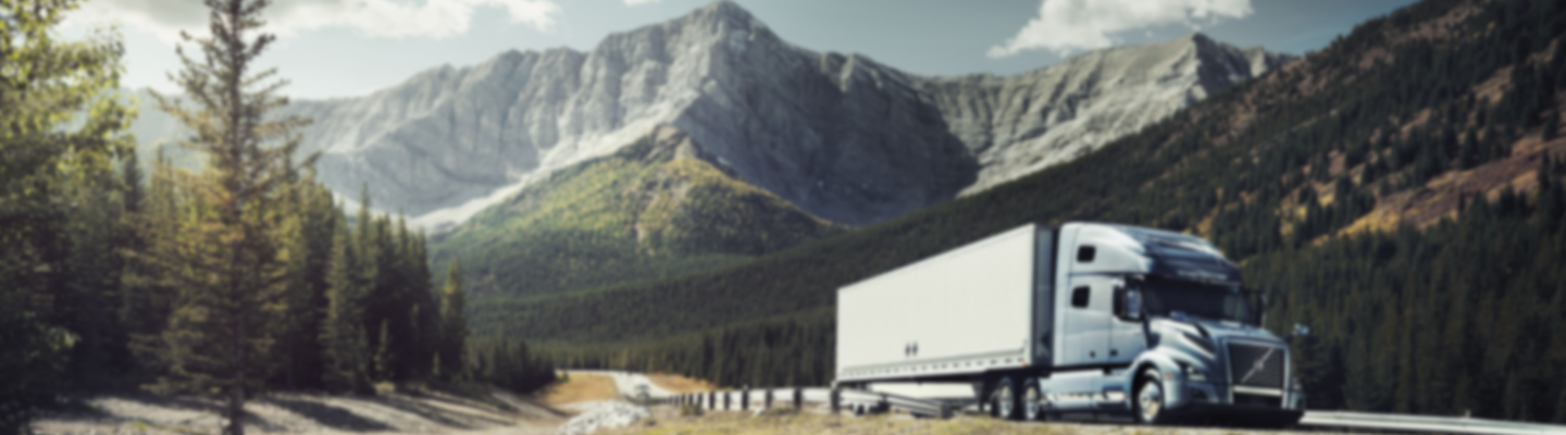Commercial Truck Sales Llc fleet